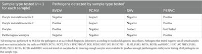 Monitoring swine virus transmission in embryos derived from commercial abattoir oocytes